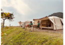 Healing & Camping di AMBA Hills Bogor